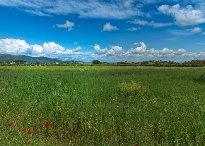 팜스테이 Lucerna Del Prile